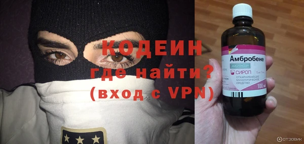 шишки Рославль