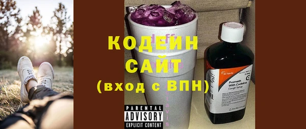 шишки Рославль