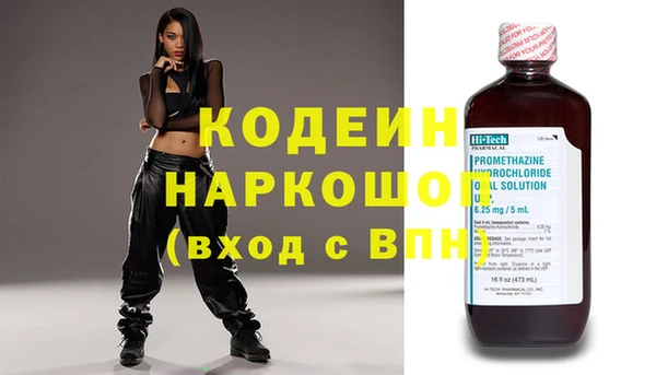 шишки Рославль