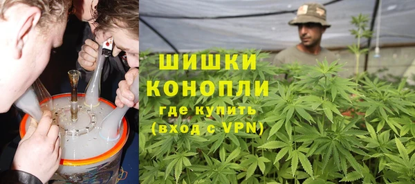 шишки Рославль