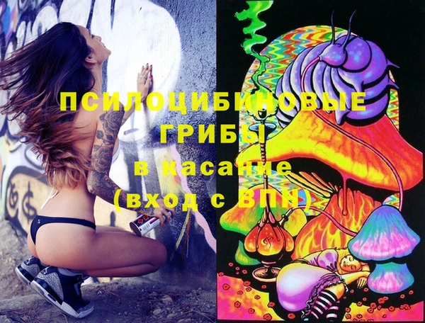 PSILOCYBIN Ростов