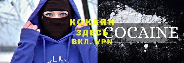 шишки Рославль