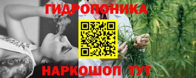 СК Волжск