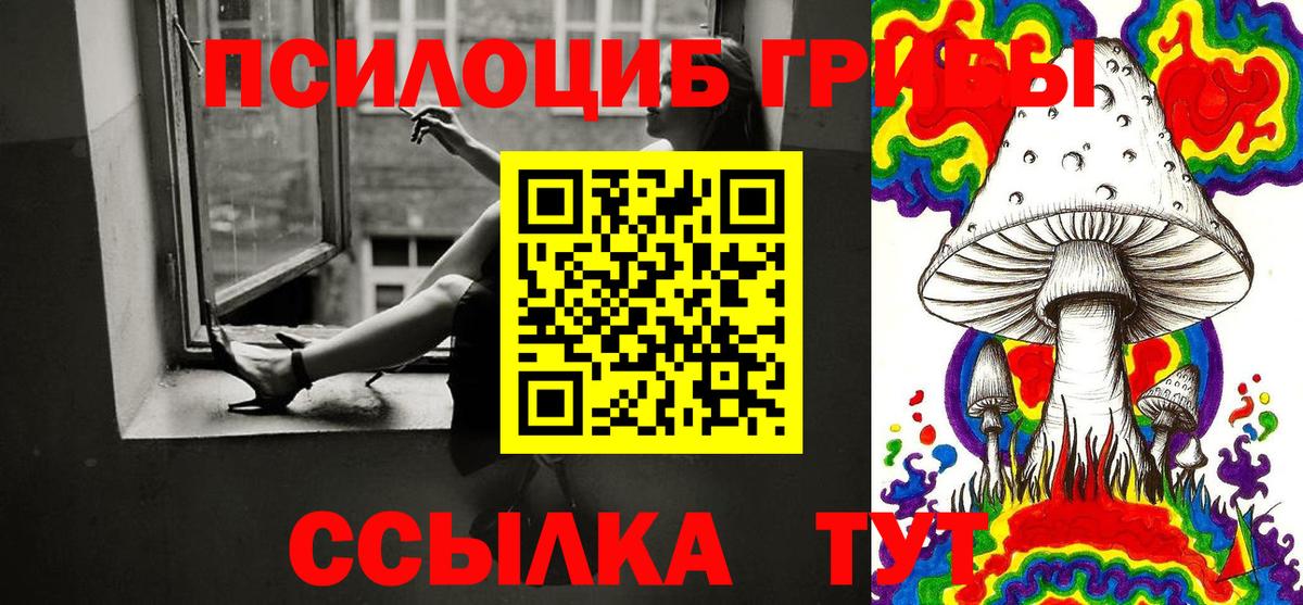 APVP Вязьма