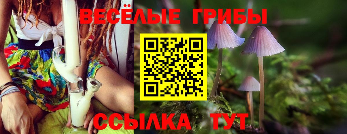 Вязьма  где найти   Вход с VPN  Псилоцибиновые грибы GOLDEN TEACHER 